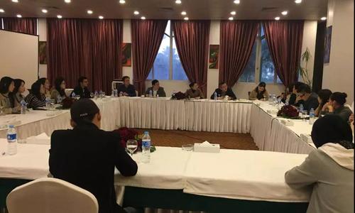 中国侨网座谈会现场。