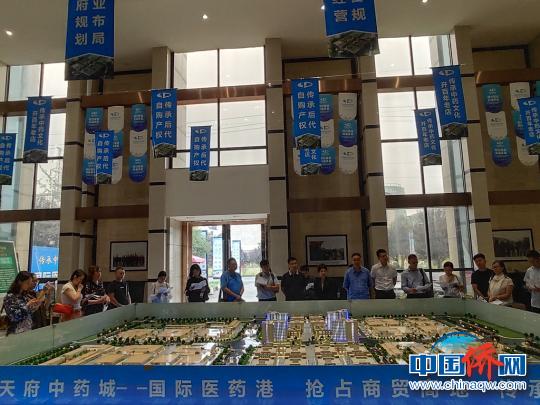 中国侨网“留学报国彭州行”活动在成都彭州举行。　彭州市委统战部　摄