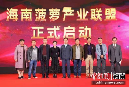 海南菠萝产业联盟启动。唐彩虹摄