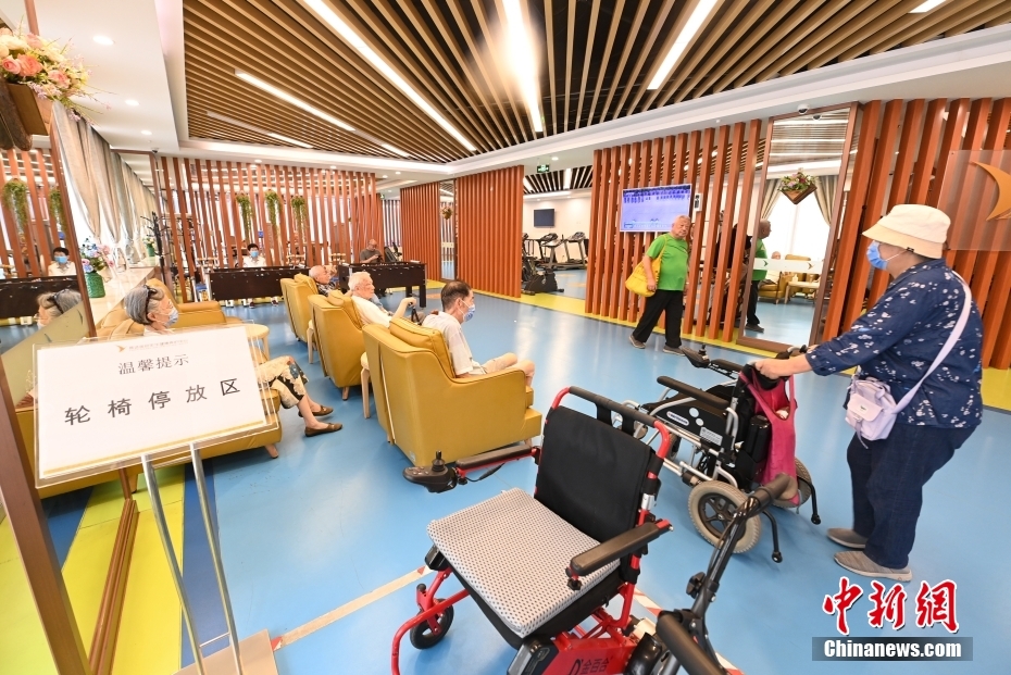 中新社发 刘向 摄